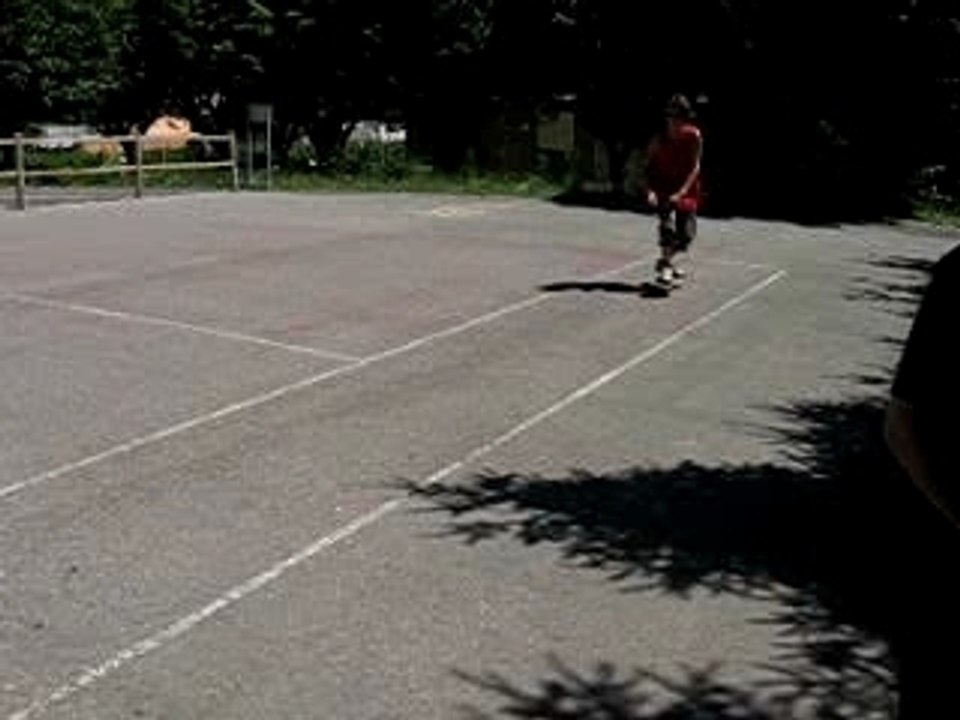 skate-flip in flip out