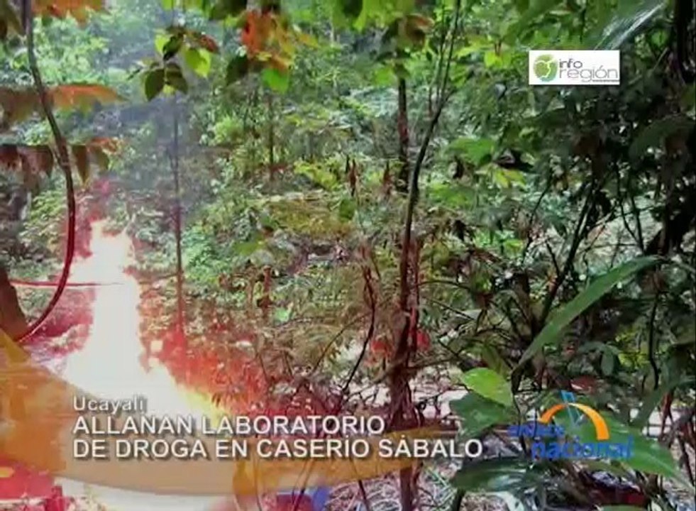 EN_220114_TINGO