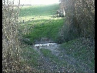 RENAULT 4L DE RALLY (muy risas) krtojal