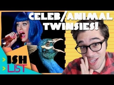 7 Celebrities and Their Animal Lookalikes - ISHlist 82