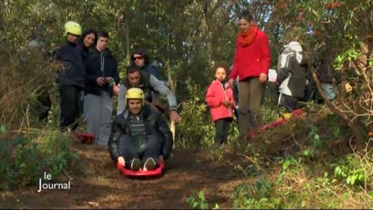 Vacances : De la luge sur aiguilles de pins (Fromentine)