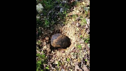 Surcoreanos a la caza de piedras espaciales