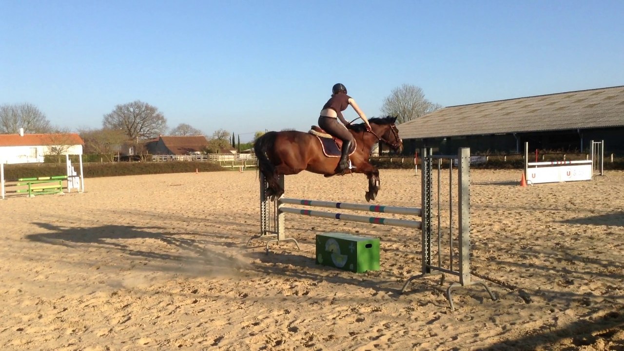 Entrainement CSO Coulonges
