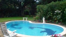 Contact Houston Outdoor Renovations for Custom Pools and Spas