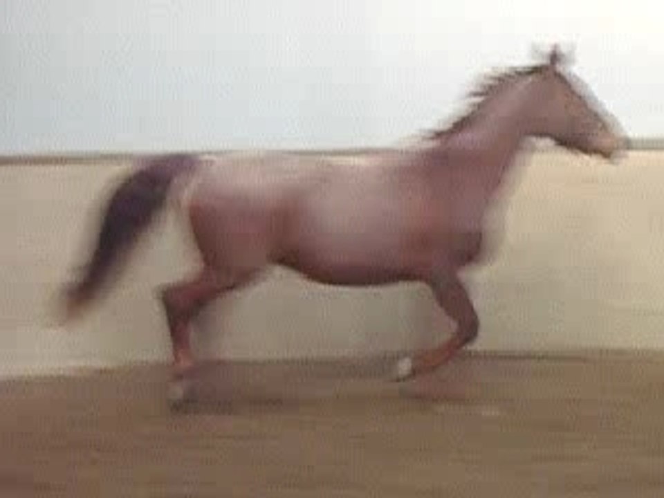 ma chérie en liberté