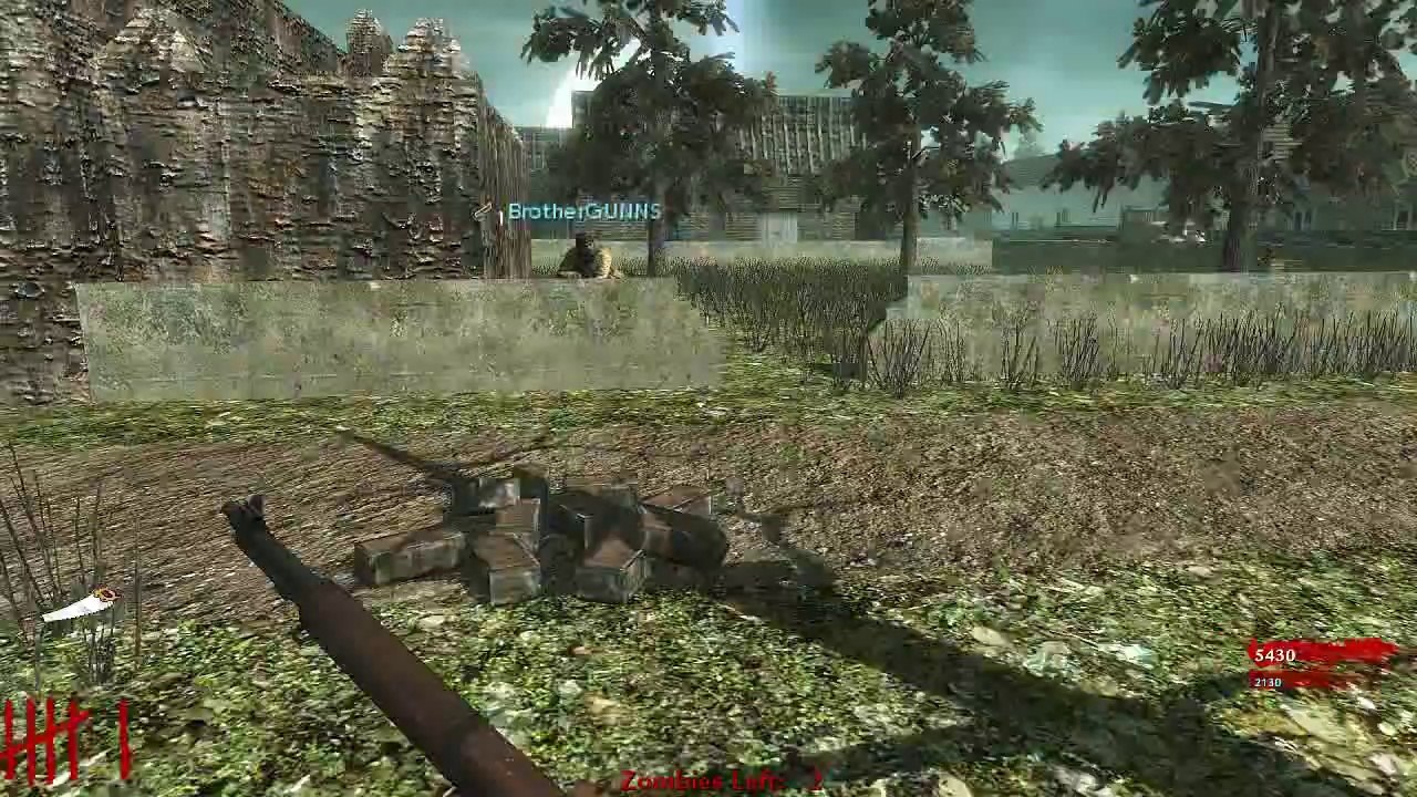 BUNBURY ZOMBIES ★ Call of Duty Zombies