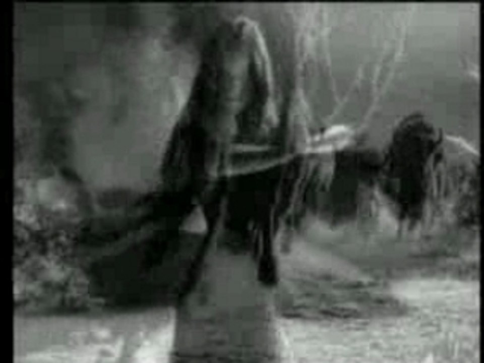 Clip - Ed Wood (bonus)