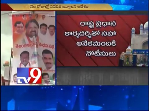 High Court orders ban on flexis