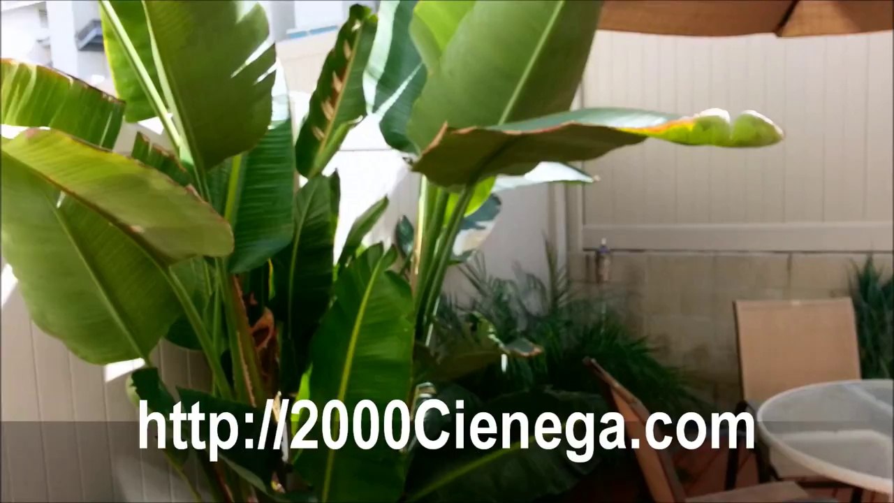 2000 Cienega Charter Oak-Covina walk thru video For Sale