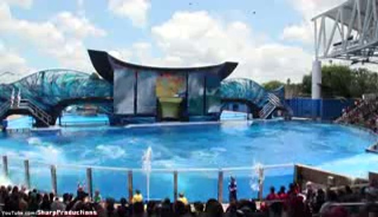 One Ocean (Full Show) SeaWorld Orlando[320x240]