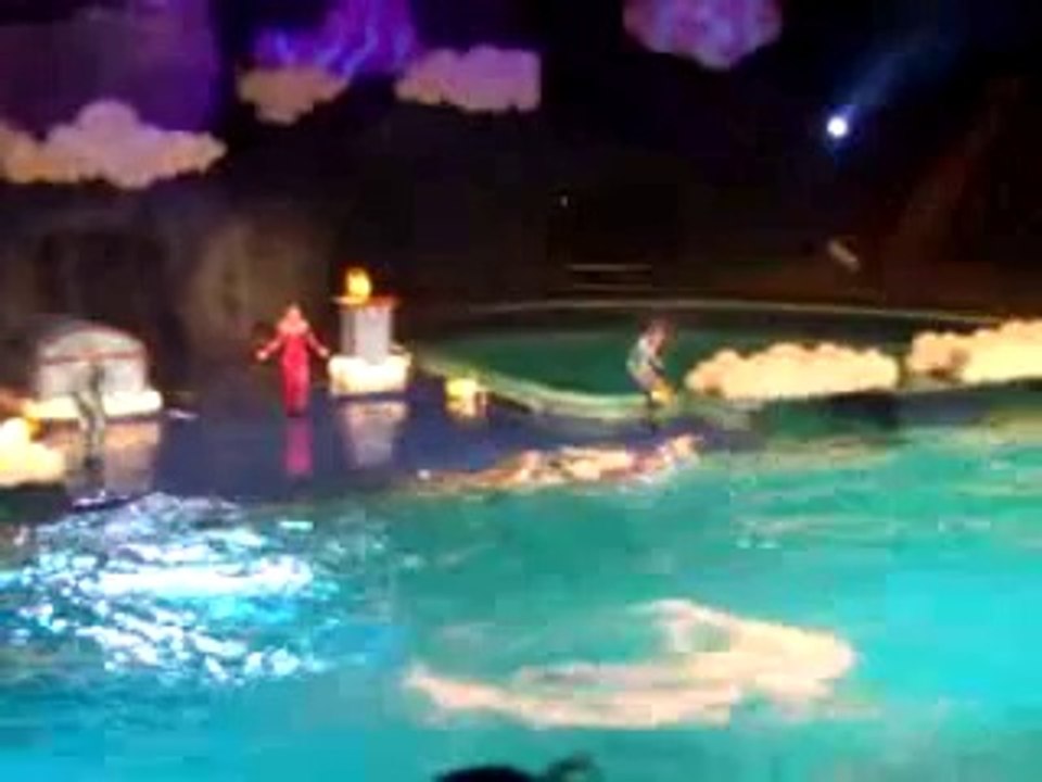 Dolfijnenshow  De Droomwens' @ Dolfinarium Harderwijk[320x240]