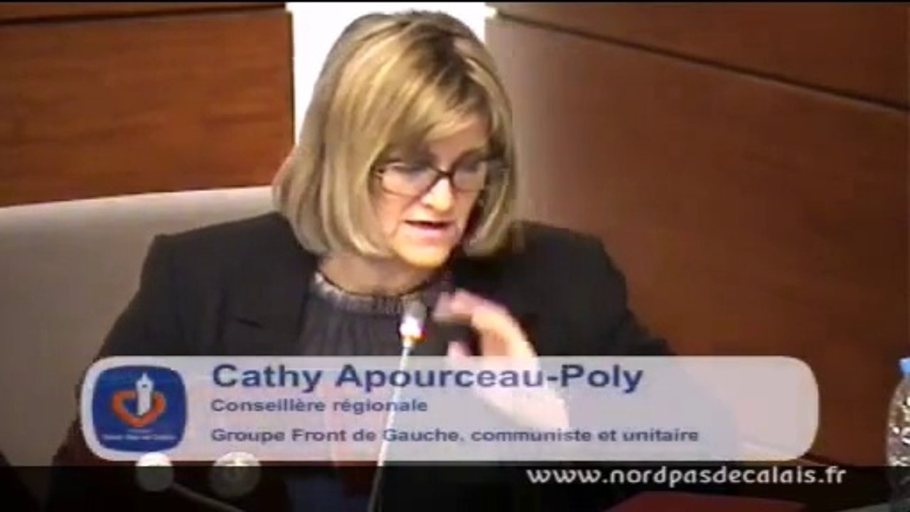 Intervention CP Cathy Apourceau-Poly Weo et Adevia 03-02-14