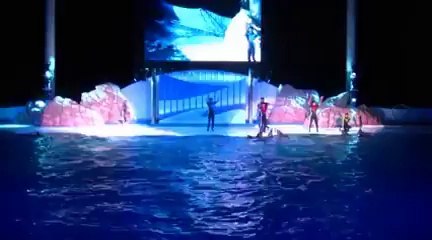 Summer Night Marine Live 2011 ～ complete[240P]