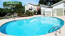 Vyne On Central Apartments in Charlotte, NC - ForRent.com