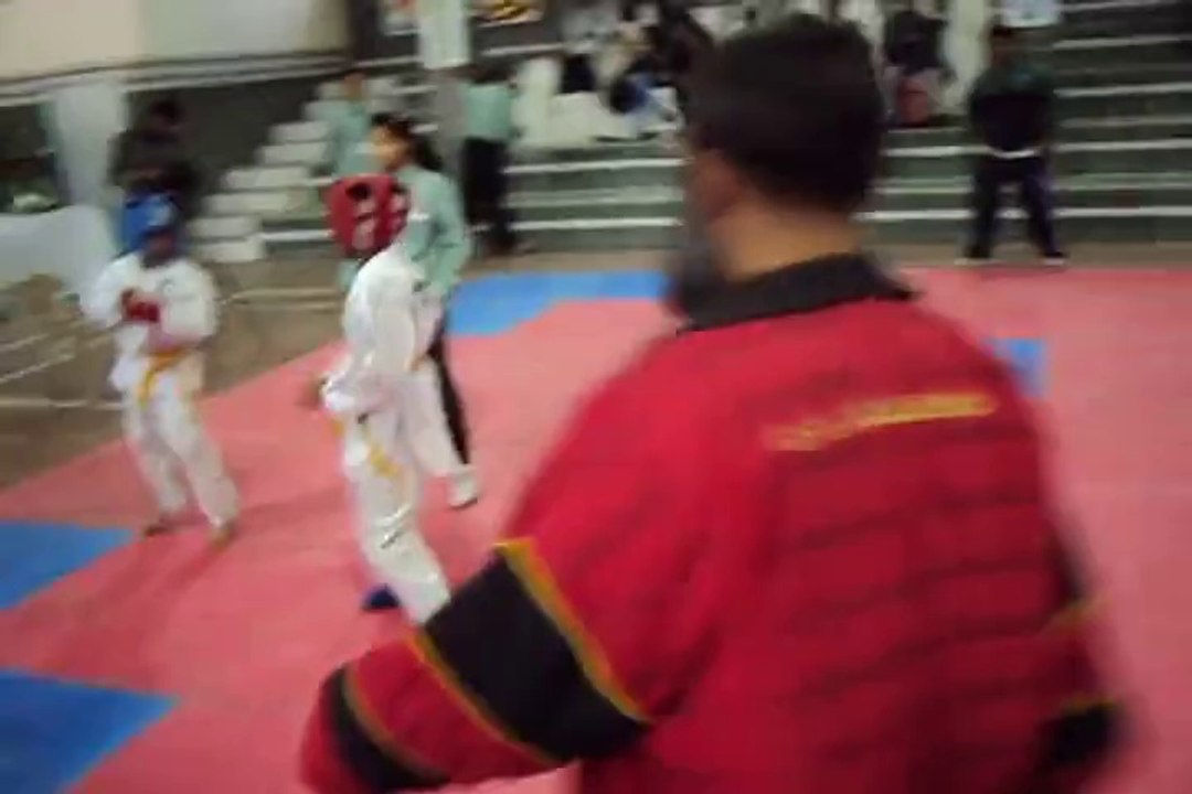 Shayan Sparring at 13th FKS Taekwondo Contest