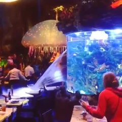 Fissure sur l'aquarium du restaurant T-Rex à Downtown Disney Orlando