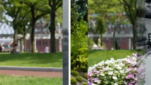 Blake's Lawn Care (812) 331-7950