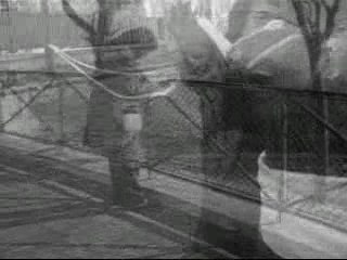 Histoire sans parole