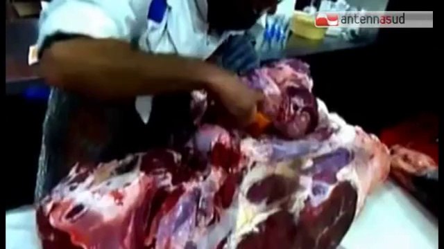 TG 18.03.14 Fallimento Ilcam, chiuse le indagini sugli indagati