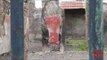 Pompei (NA) - Trafugato affresco di Artemide (18.03.14)