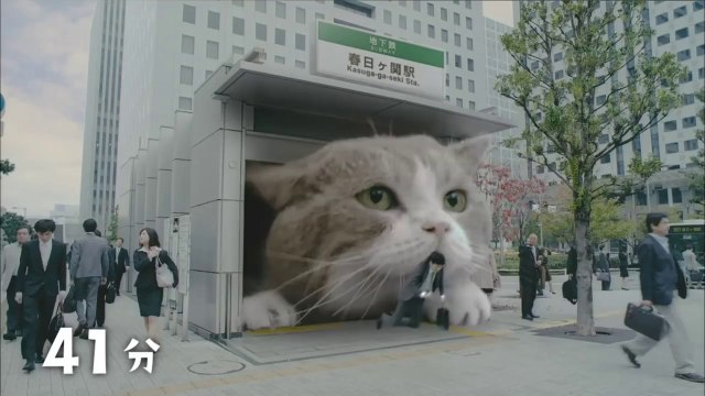 Japanese Gum Commercial With Giant Cat