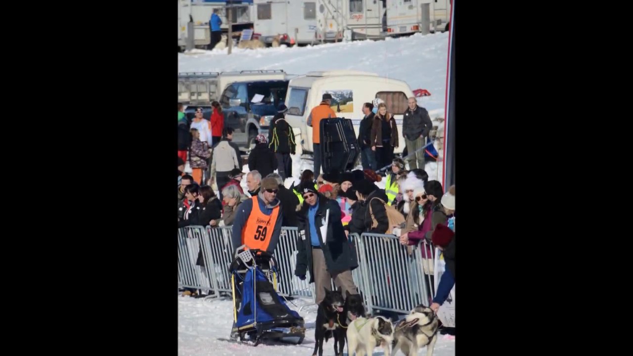 Inzeller Schlittenhunderennen 2014 - Die Bilder
