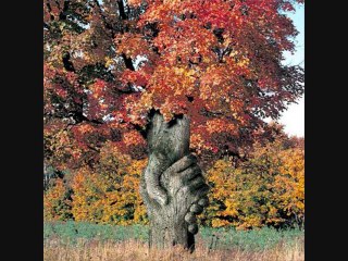 Les Illusions retrouvées Lyrics (Instrumental l'Aigle Noir - Barbara)