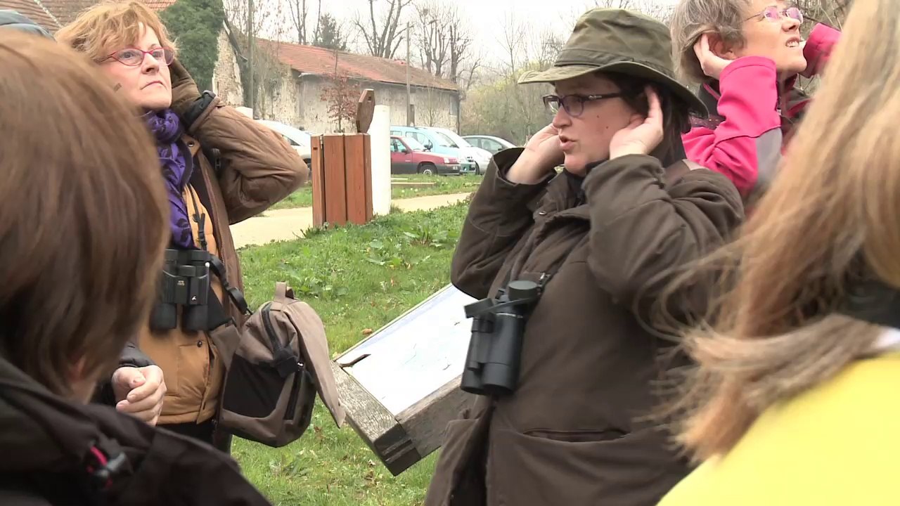 Tout savoir sur le chant des oiseaux