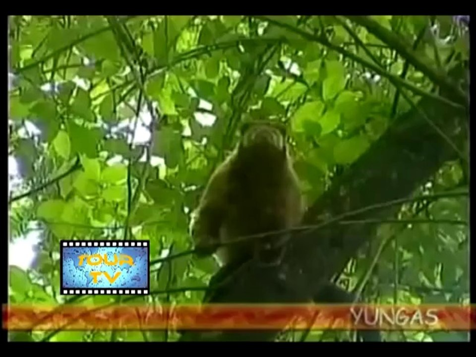 9º programa de Tour tv (01/03/14)