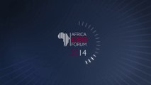 Africa CEO Forum 2014 - Deuxième journée