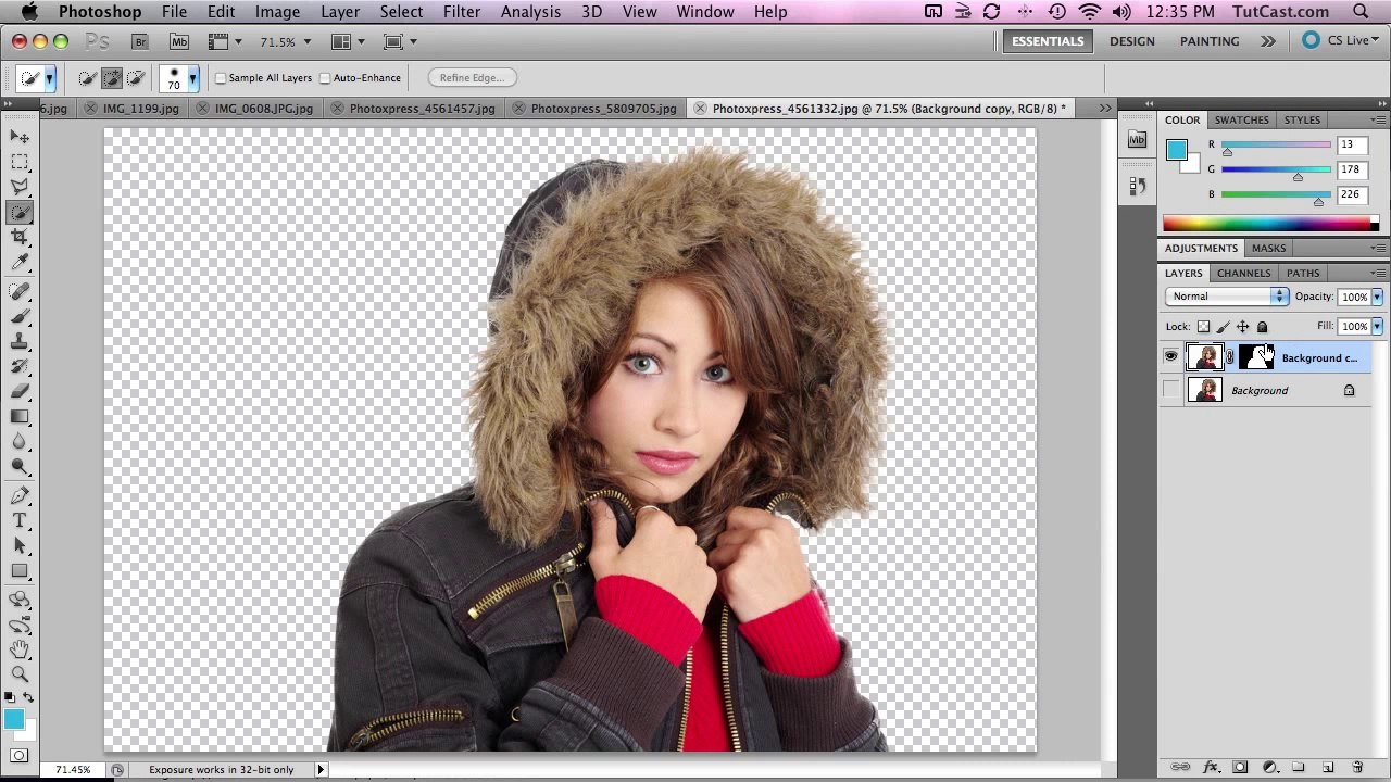 Refine Edge Photoshop CS5