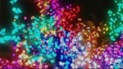 Corporate Hire Furniture Perth