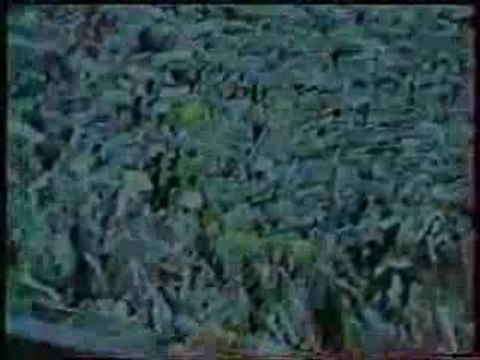 asse saison 2004-2005