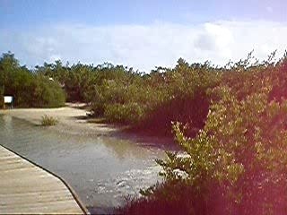 vidéo de l'étang des salines