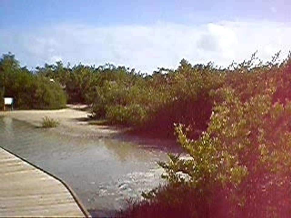 vidéo de l'étang des salines
