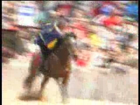 Voltige-spectacle-equestre