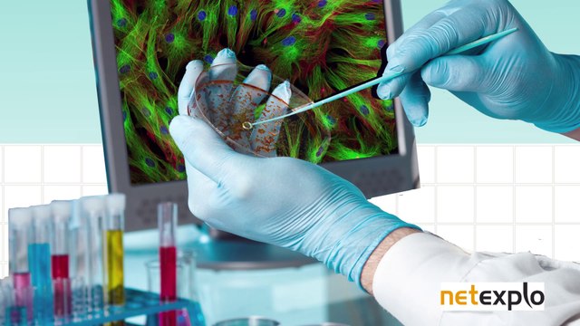 SKINPRINT (Netherlands) ENGLISH - Netexplo Forum 2014