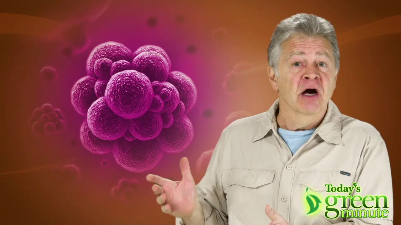 Big News In Panda Poop!