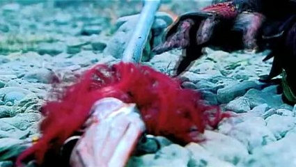 The Young Warriors - Episode 39 (English Subbed)