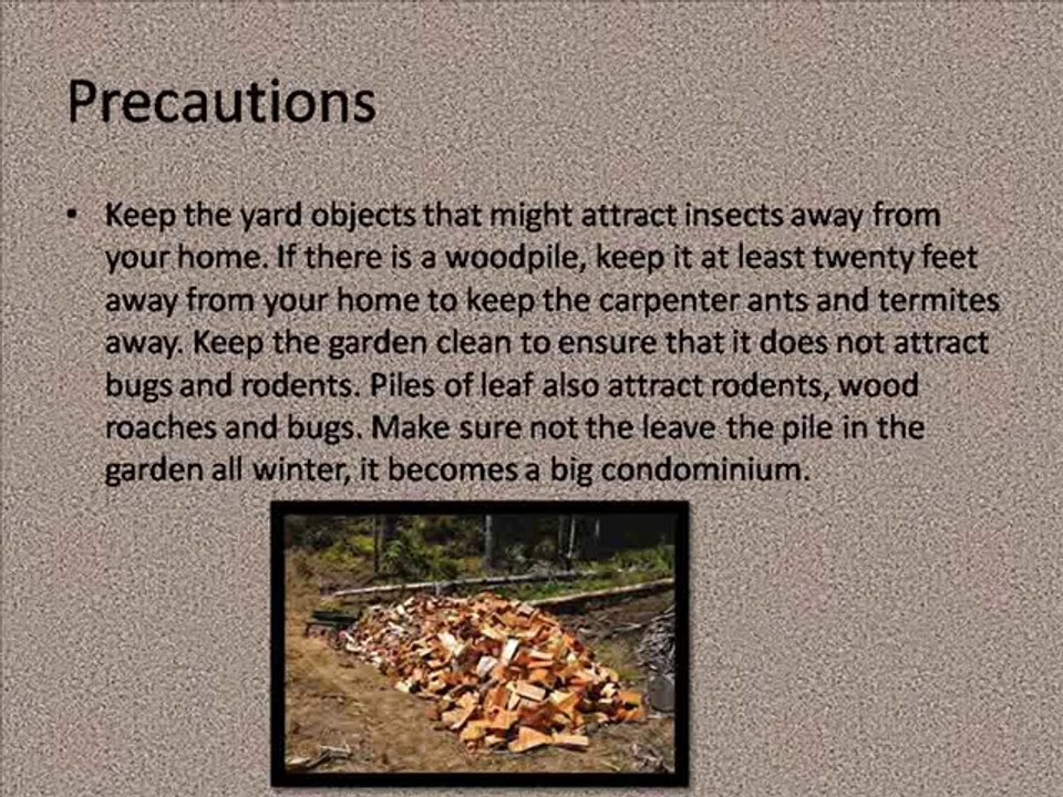 Pest Control during winter