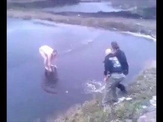 funny videos must watch hahahha