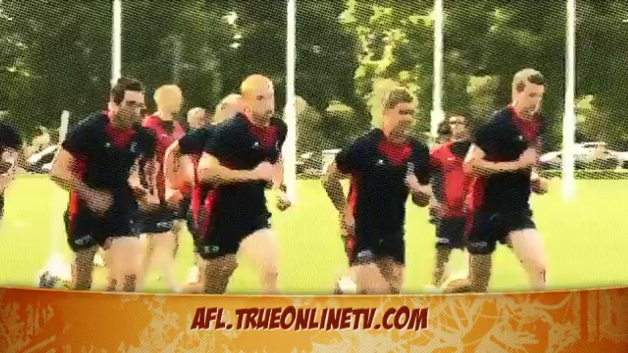 Watch North Melbourne v live AFL stream - Essendon - Toyota AFL Premiership - afl results 2013