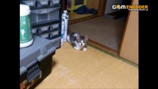 高血圧改善プログラム「血圧＋コントローラー」実践 検証 動画 実績 特典 購入 レビュー ブログ 暴露 評価 評判