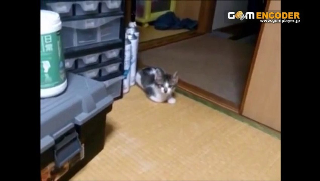 中年太りダイエット　☆中年太りバスターズ☆　実践 検証 動画 実績 特典 購入 レビュー ブログ 暴露 評価 評判