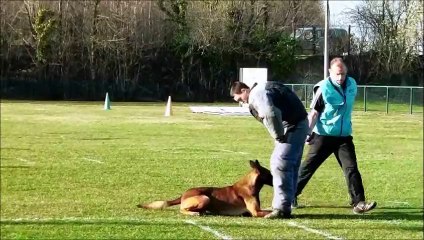 COUPE DES CLUB RING 2014 A RENAULT DOUAI