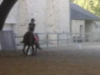 Mon Killeur: New Sonset