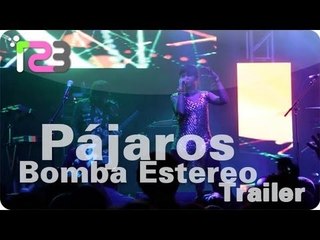 Bomba Estéreo - "Pájaros" (Music Video Trailer)