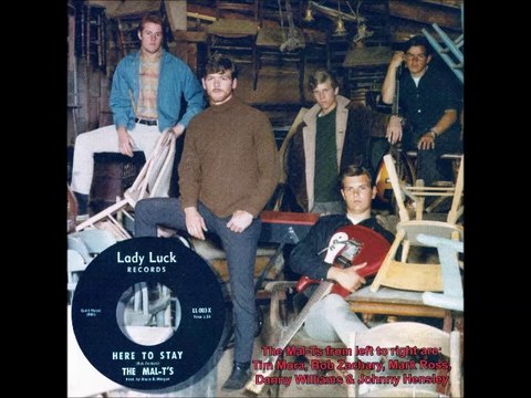 Wildwood. Steel Cathedrals 1966-71 US Hard Garage Psych Rock