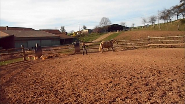 Tina rond de longe 19 mars 2014
