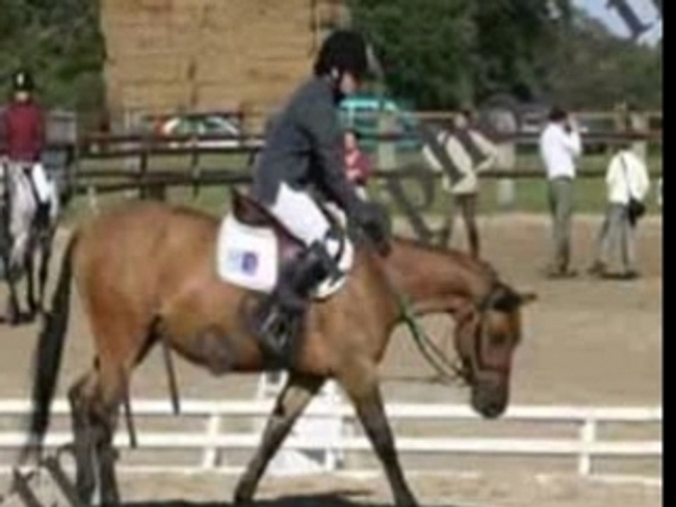 concours2006(senlisse et fontenay+manet)